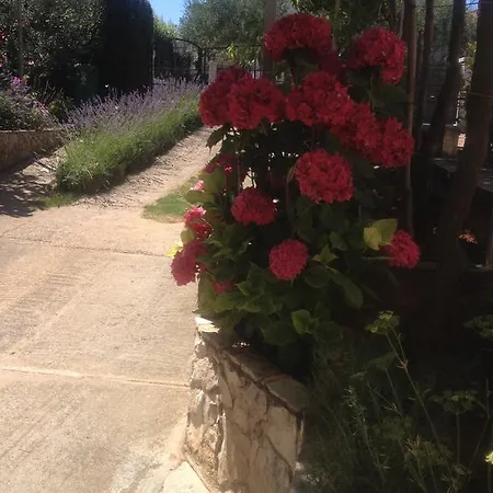 아파트 Alex 풀라