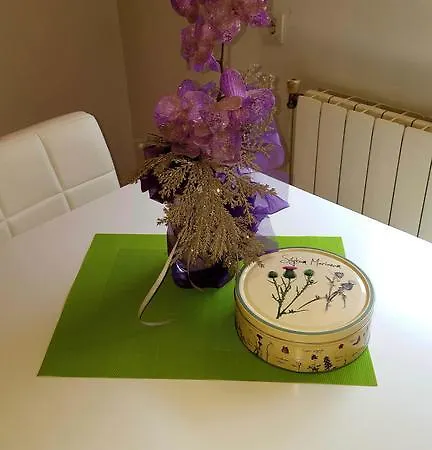 Alex 아파트 풀라